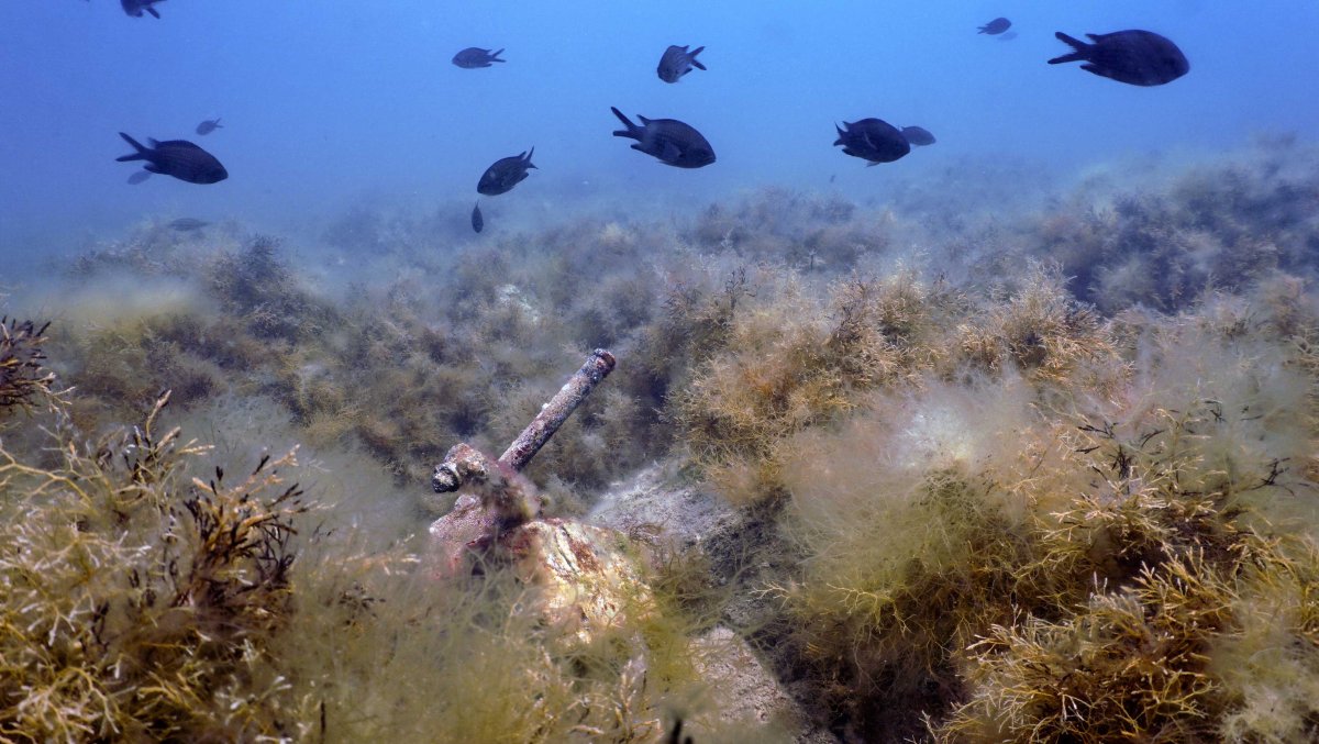 Черное море под водой