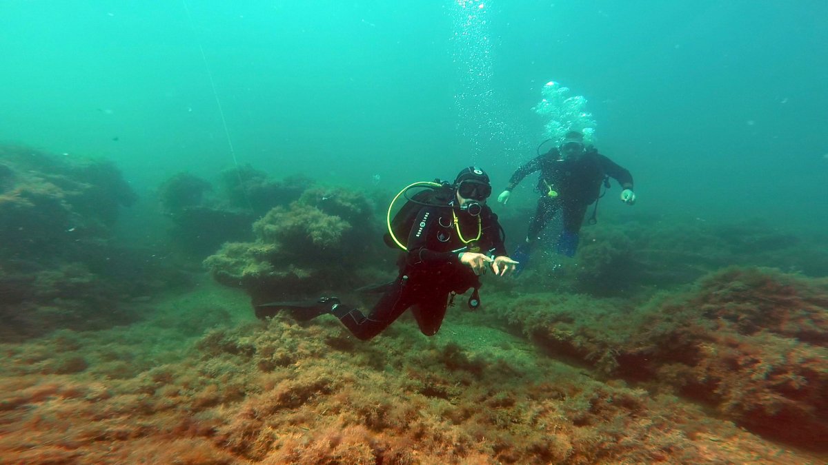 Дайвинг черное море Анапа