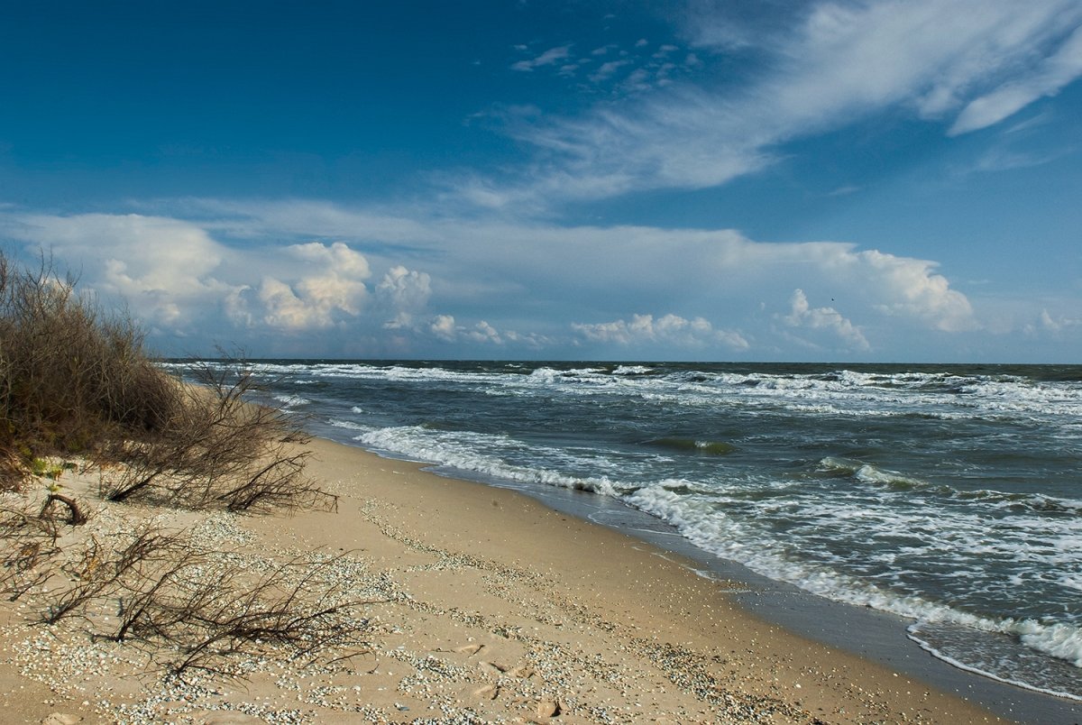 Азовское море Бердянская коса