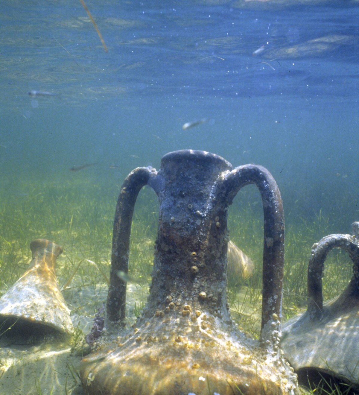 Древние Амфоры со дна моря