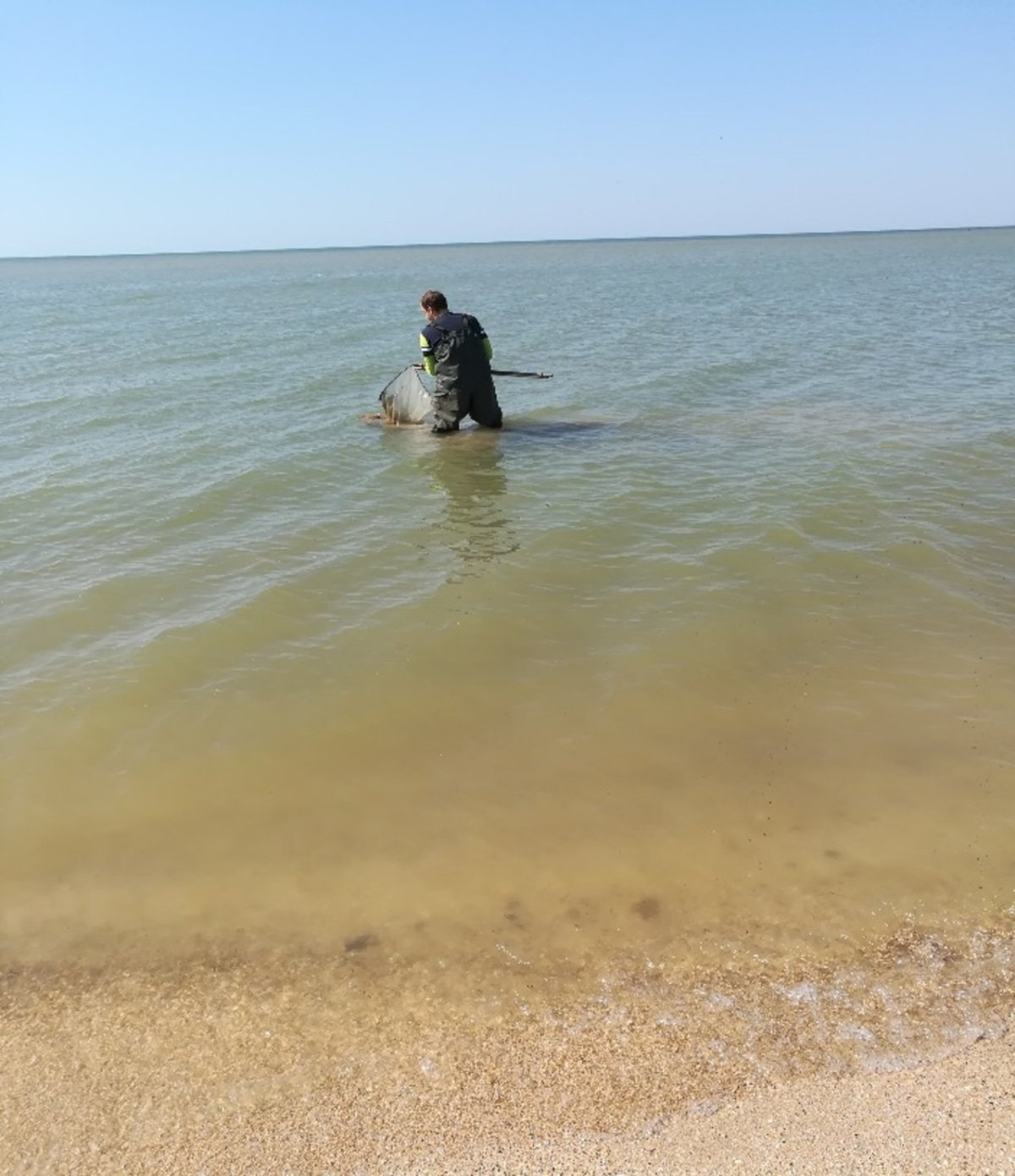 АЗНИИРХ черное море