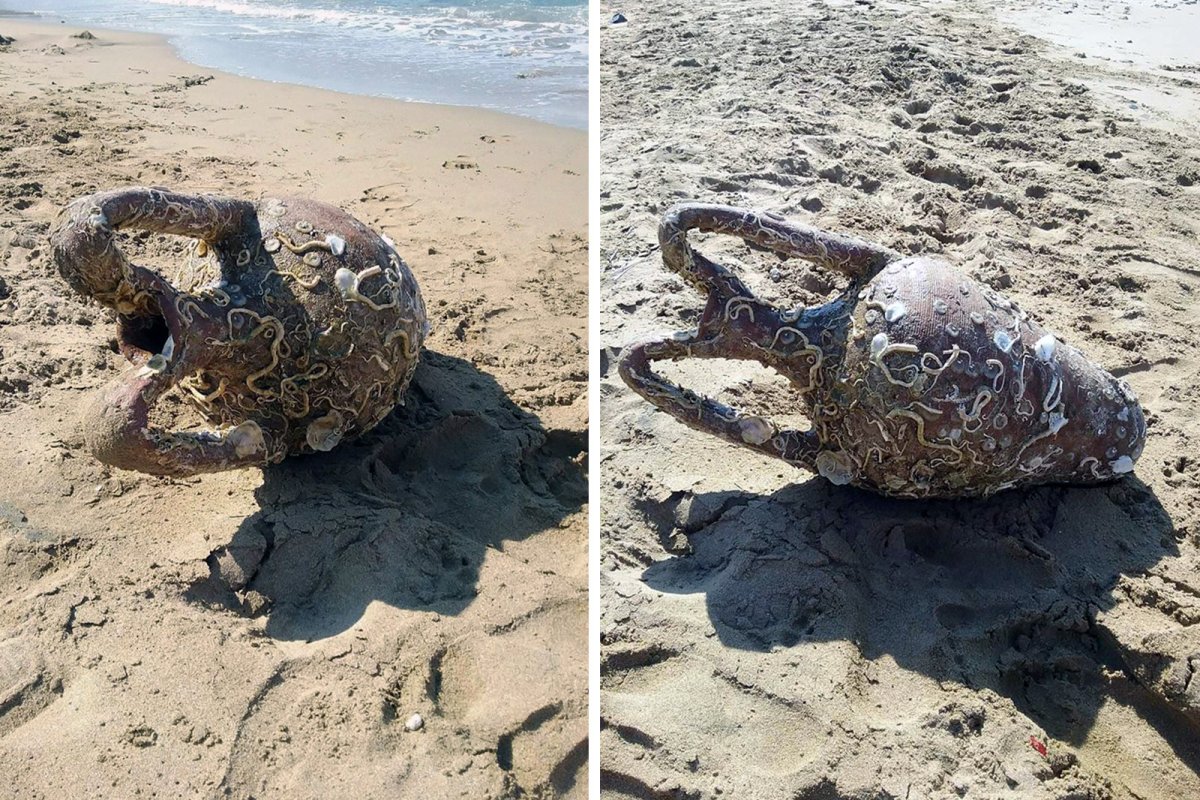 Амфоры в черном море
