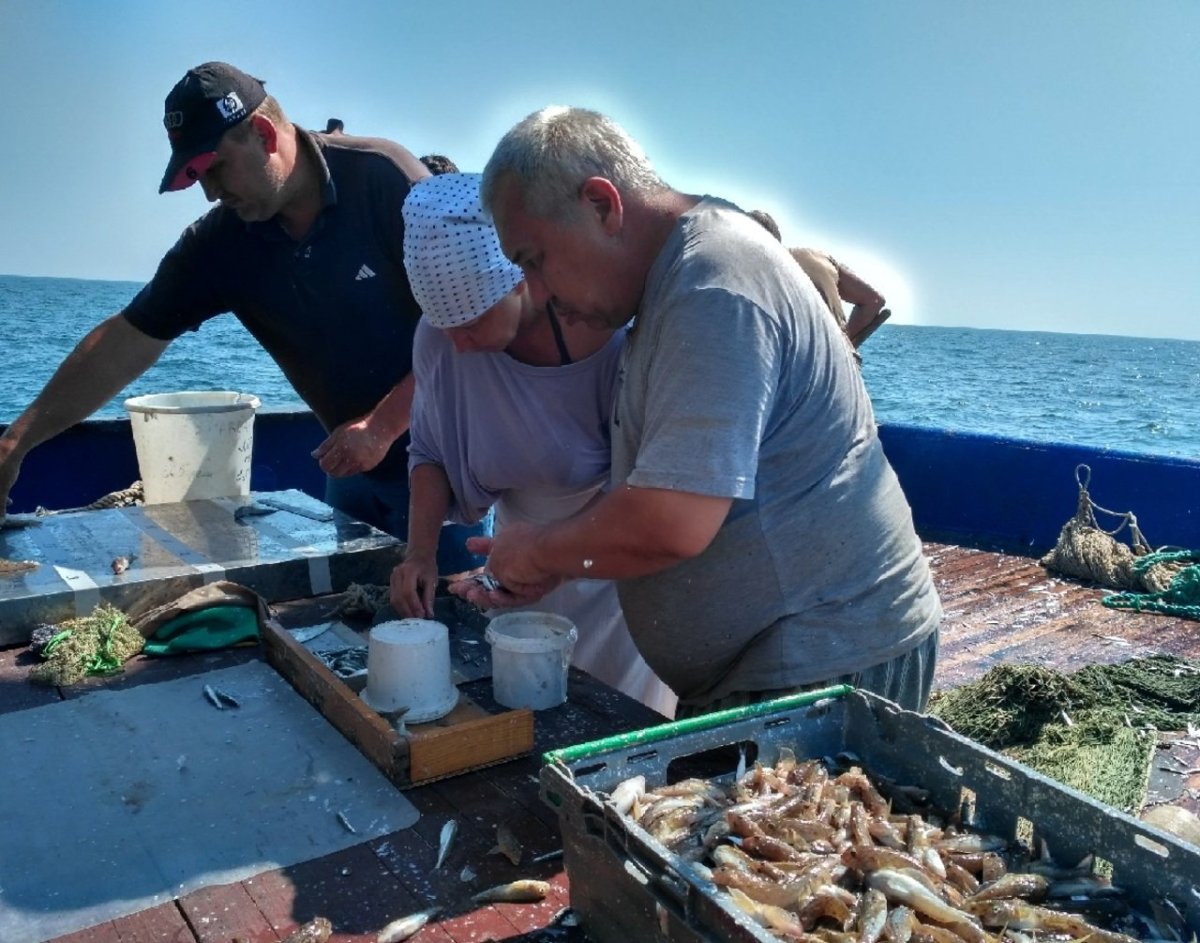 Рыбные запасы черного моря