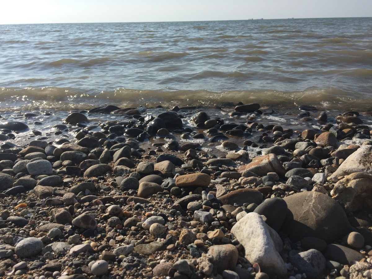 Галечный берег Азовского моря
