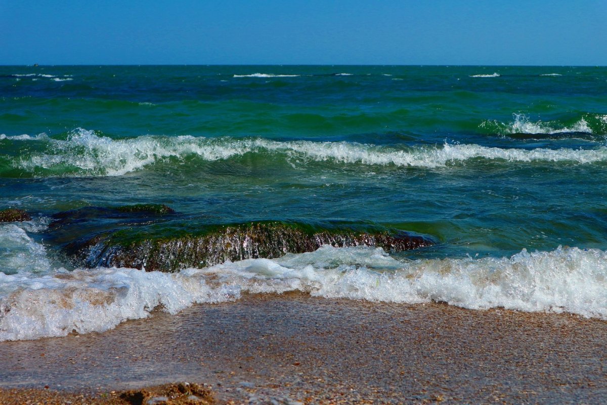 Черное море Одесса