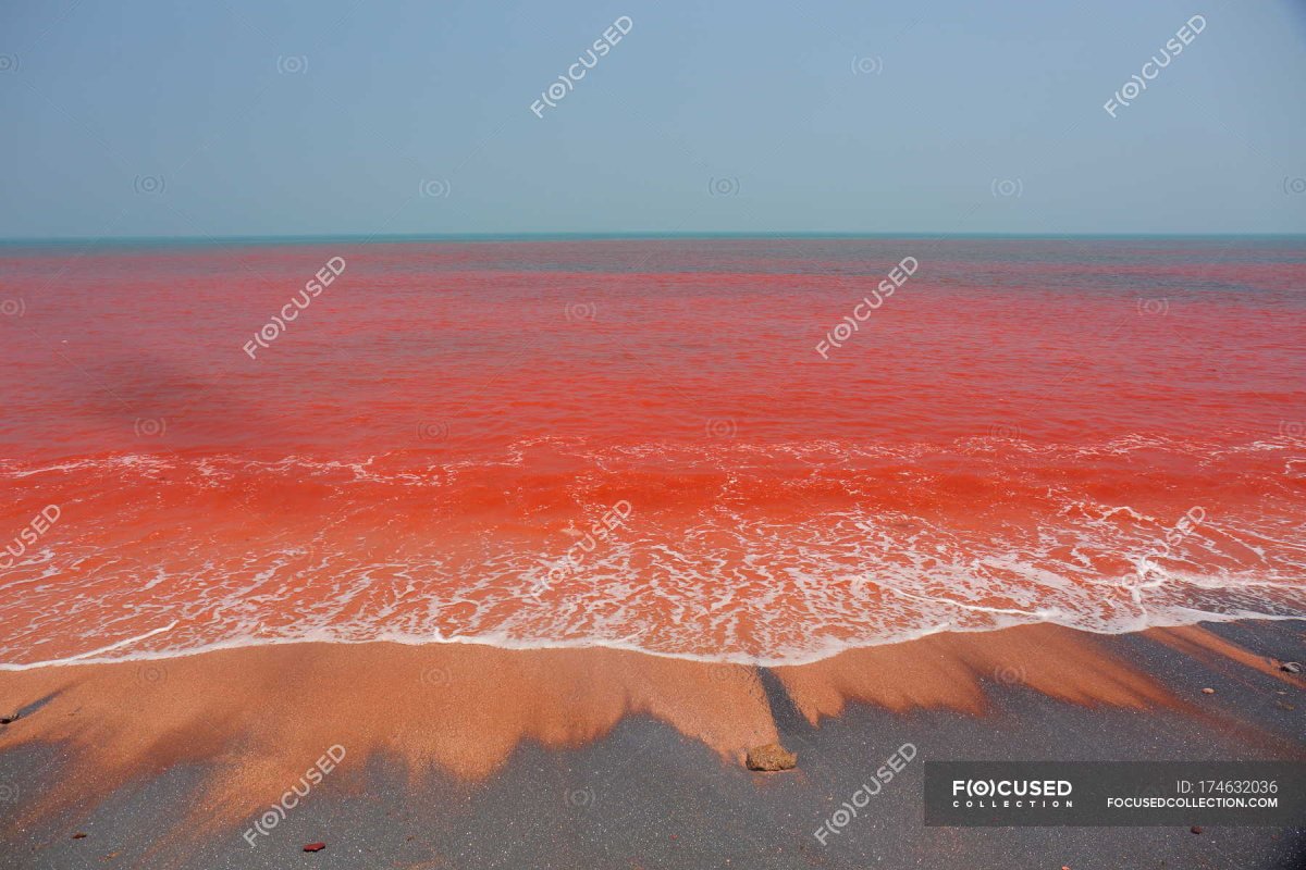 Красное море цвет воды