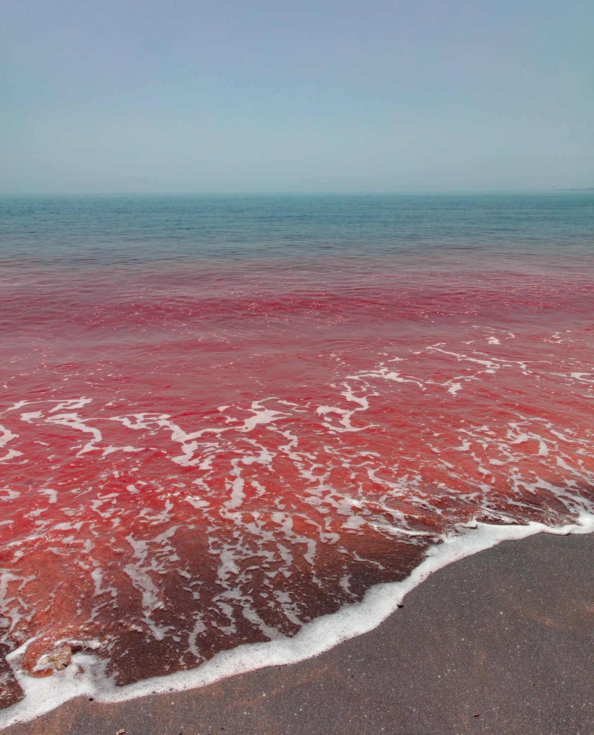 Море красного цвета