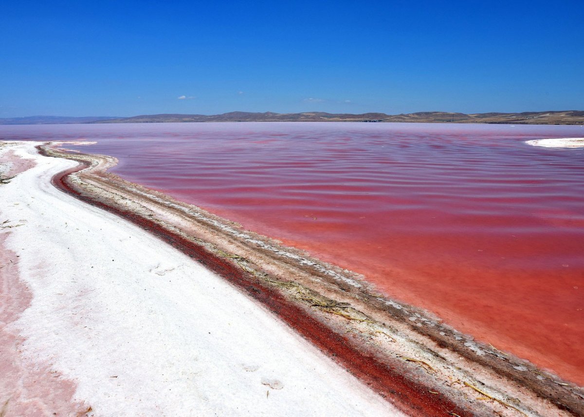 Dunaliella Salina озеро