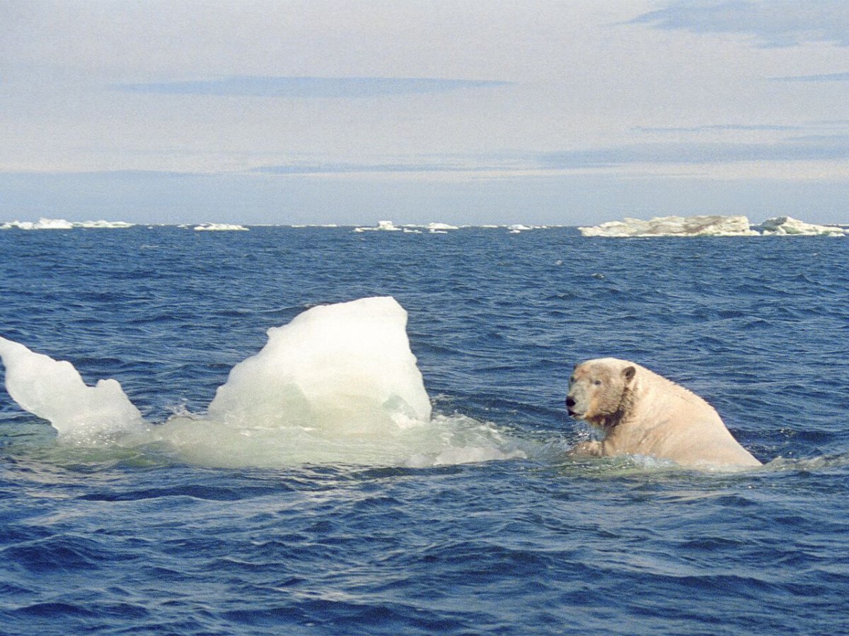 Чукотское море