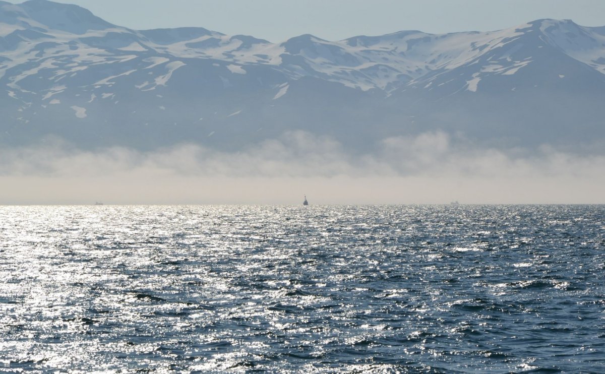 Восточно Чукотское море