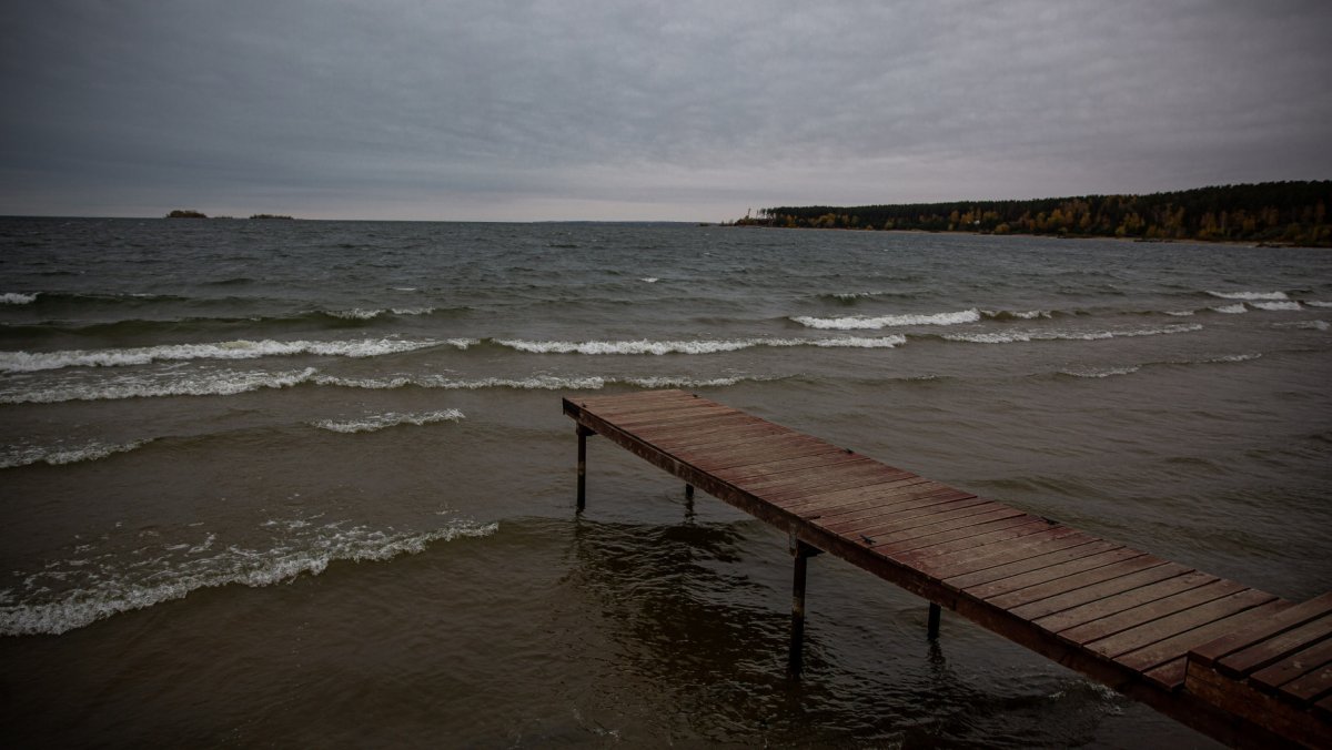 Обское водохранилище волны на берегу