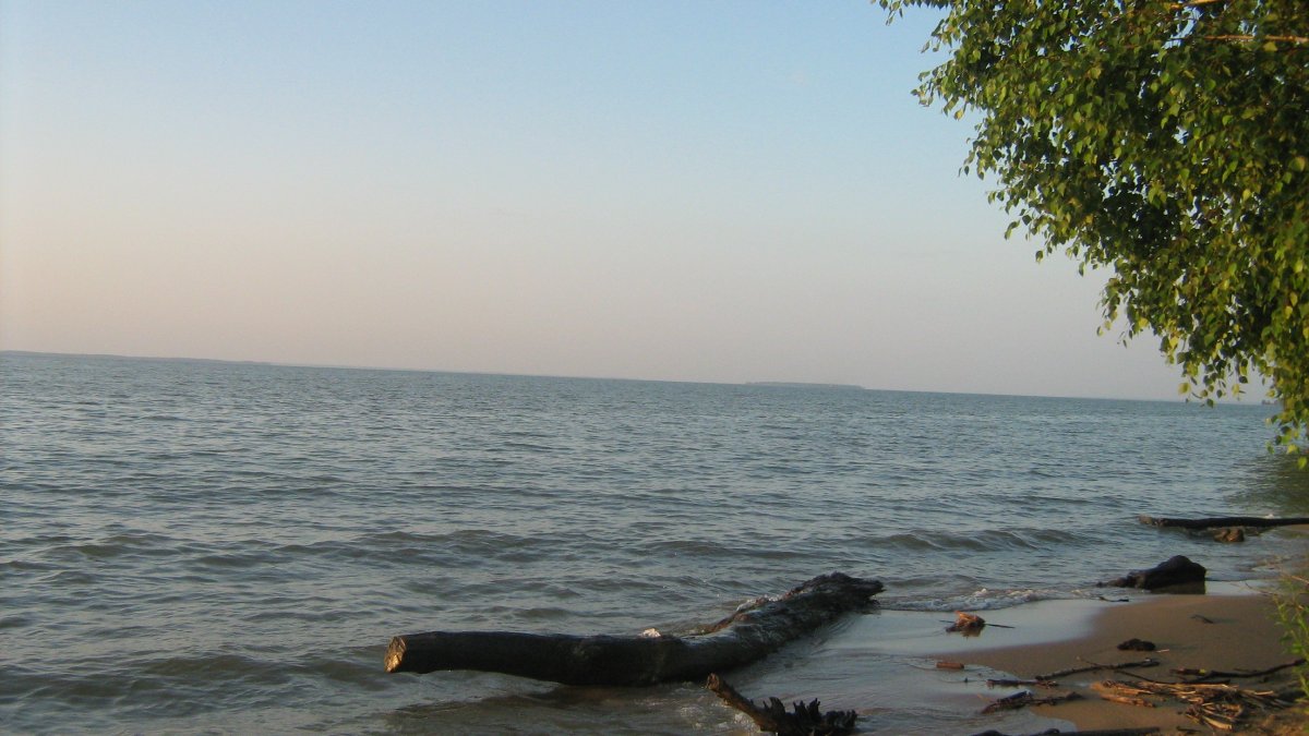 Новосибирск. Обское море. Береговая