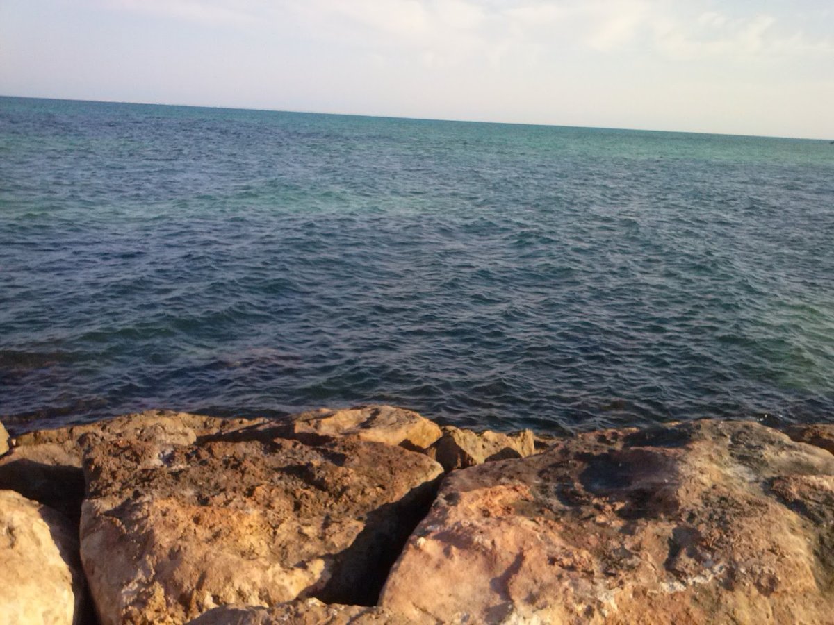 7 Дней моря