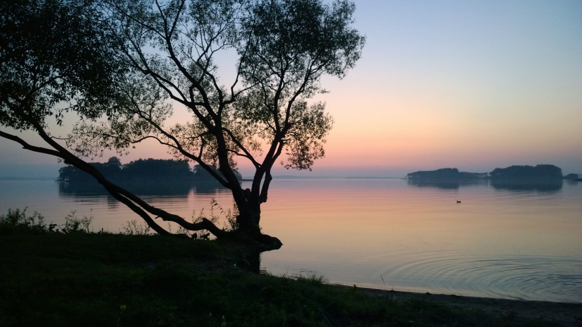 Дубрава море