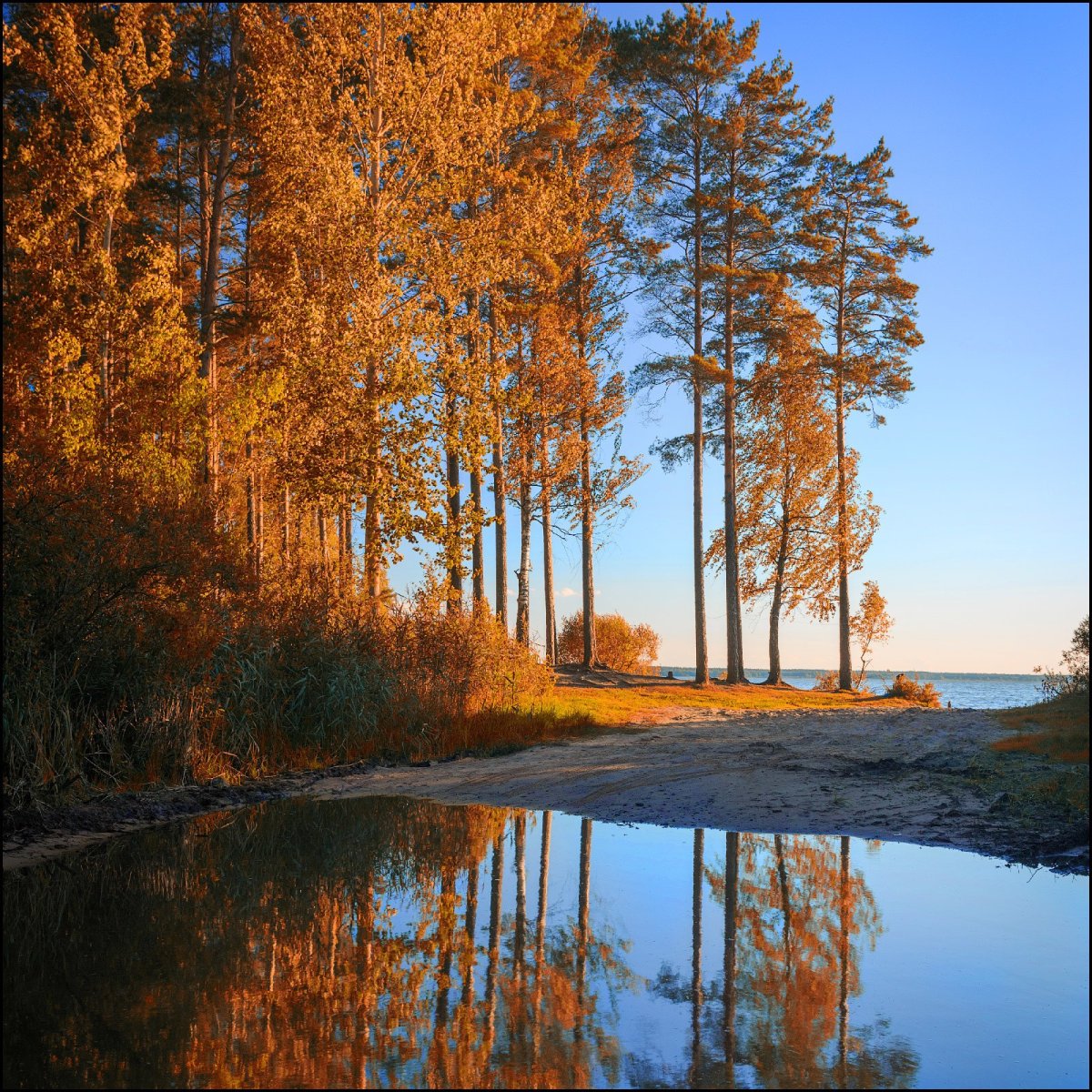 Бережок Гарынье