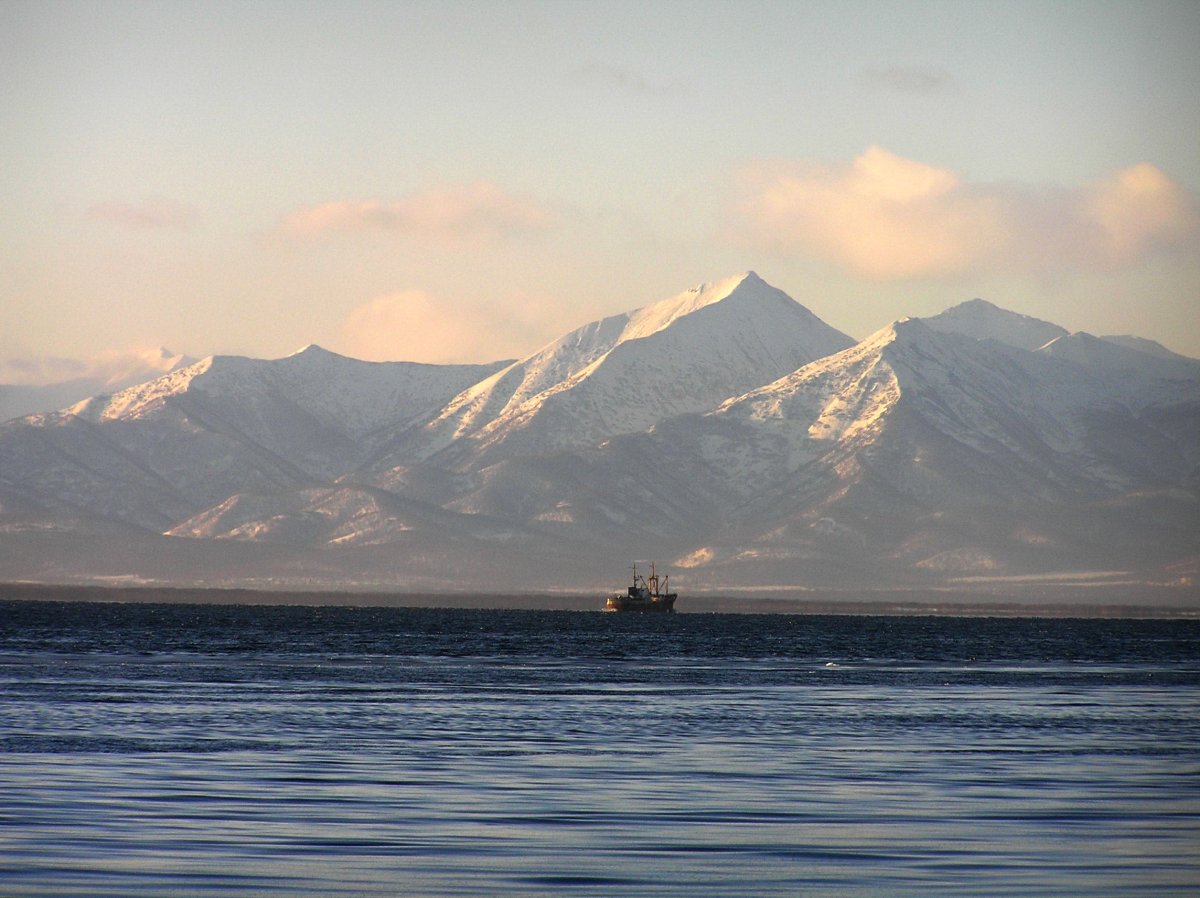 Авачинская губа Камчатка