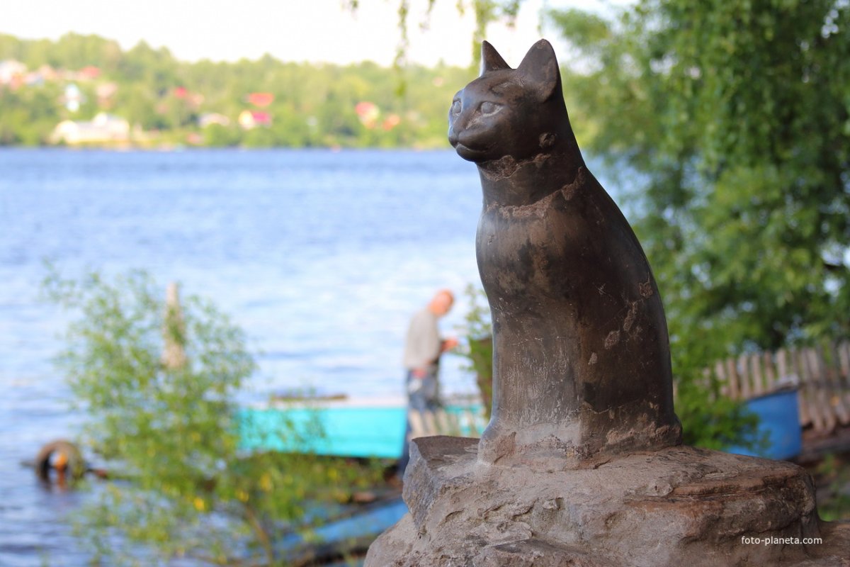 Плёс город памятник кошке