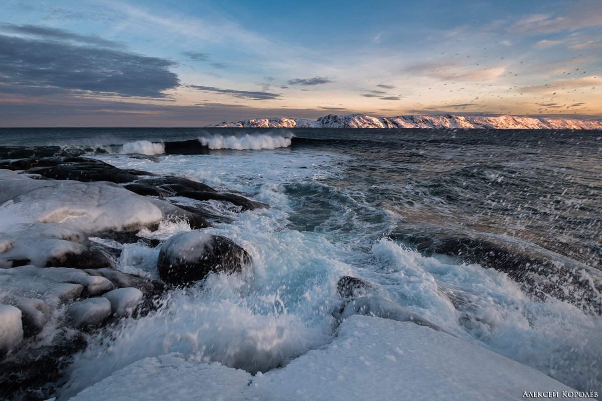 Баркнцево море тереберг