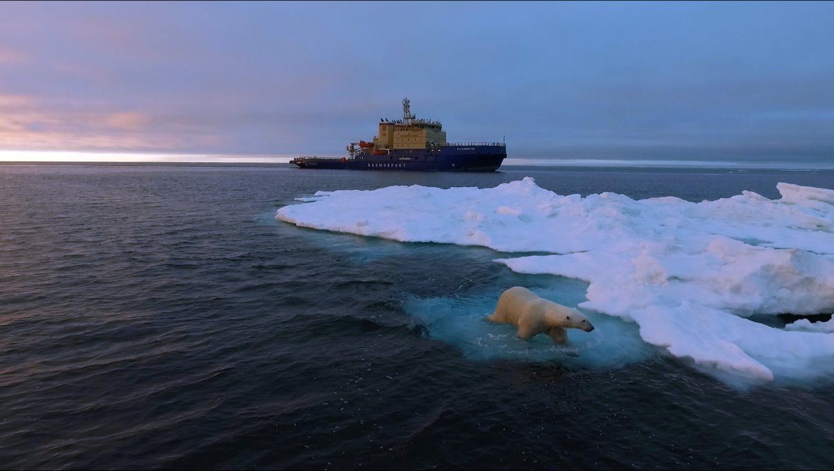 Остров Северный Карское море