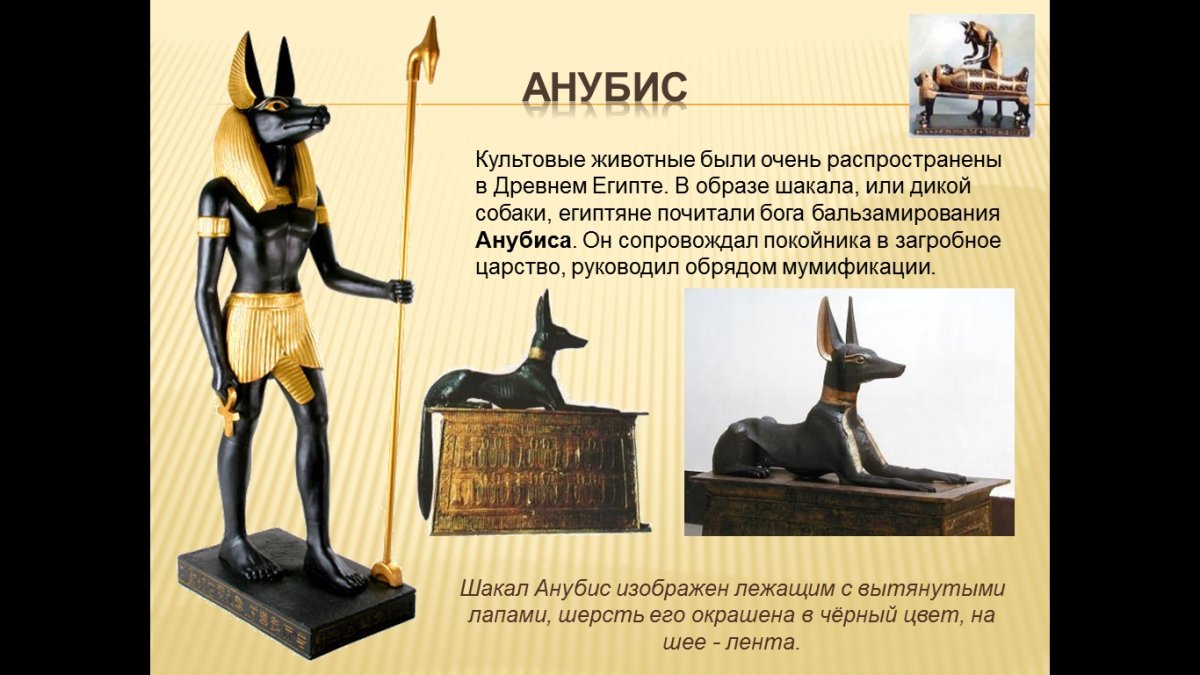 Бог Анубис в образе шакала