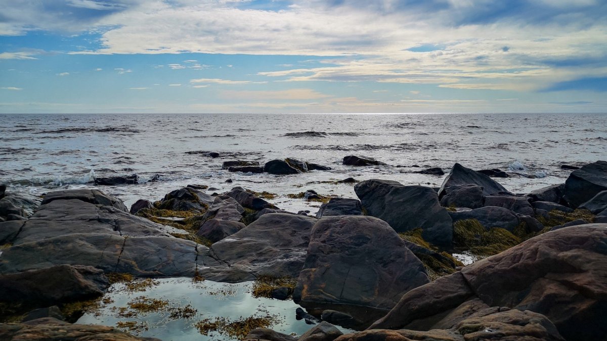 Побережье белого моря