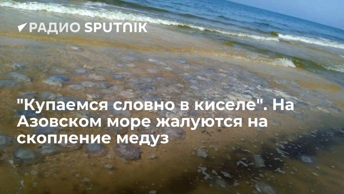 Медузы в Азовском море 2022
