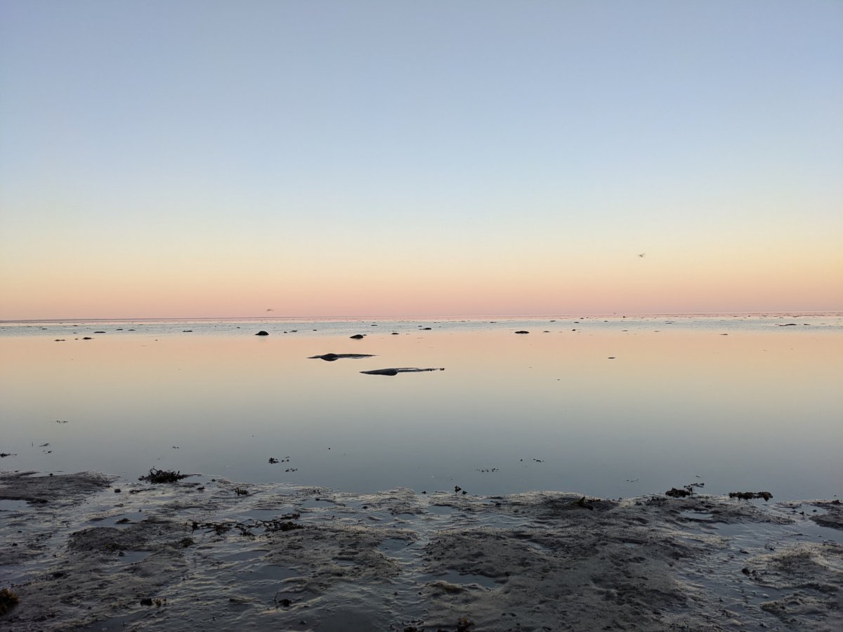 Белое море в феврале