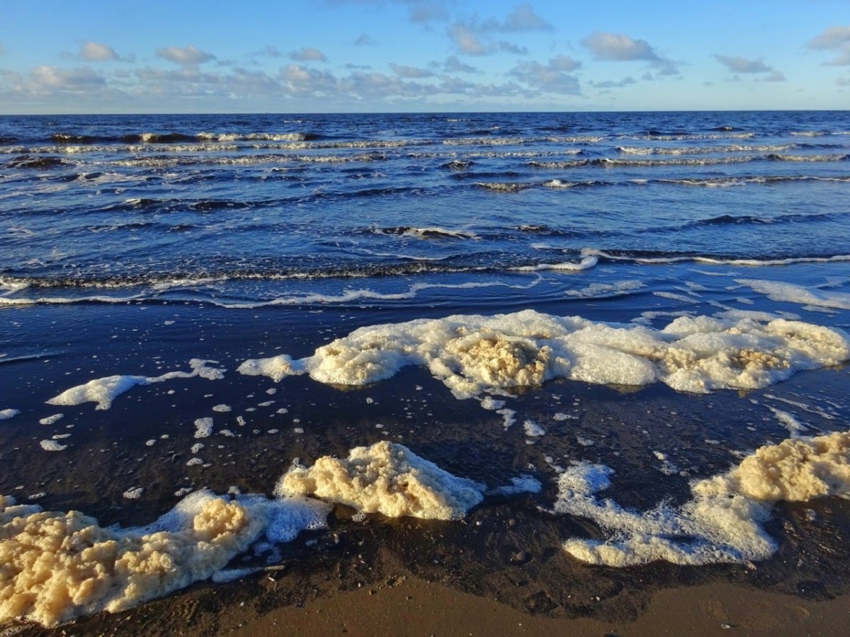 Белое море Евразия