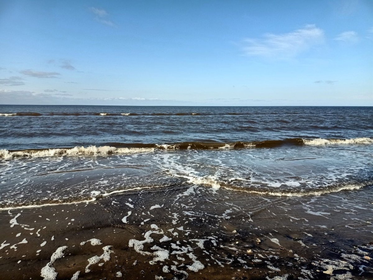 Сладкое белое море
