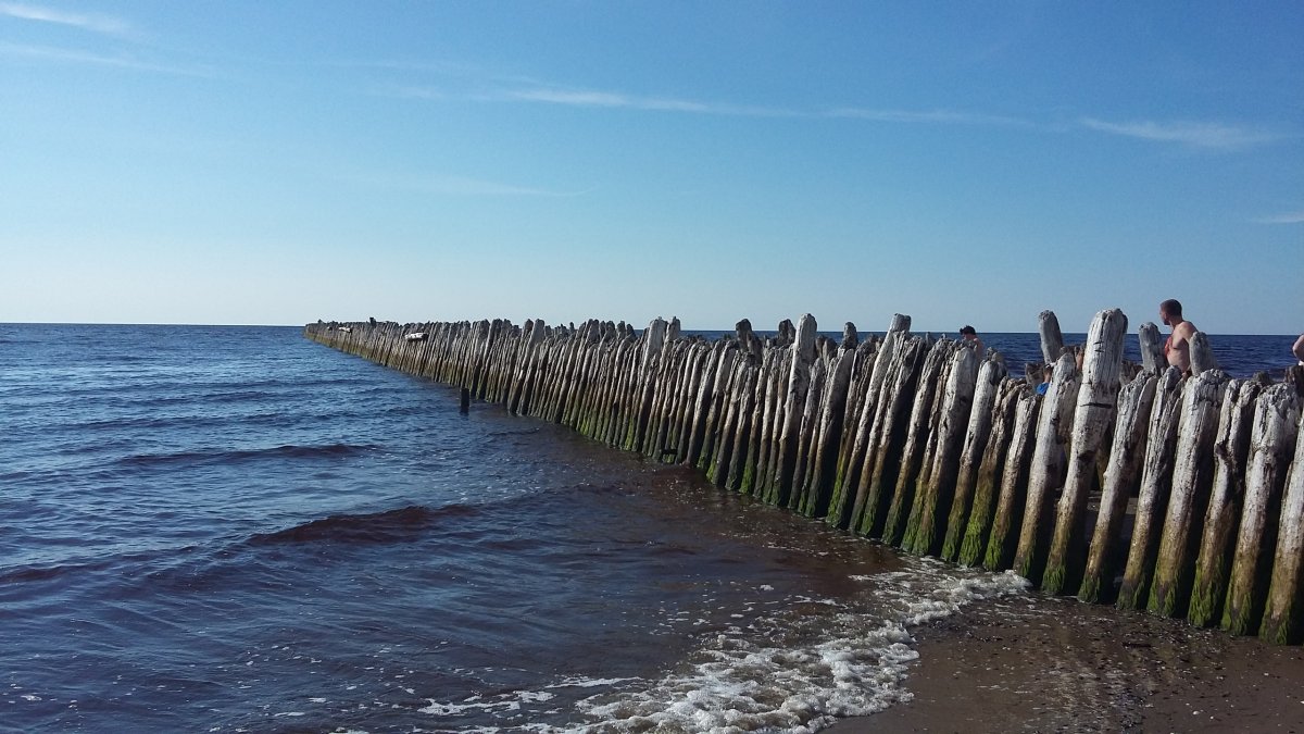 Архангельск берег белого моря
