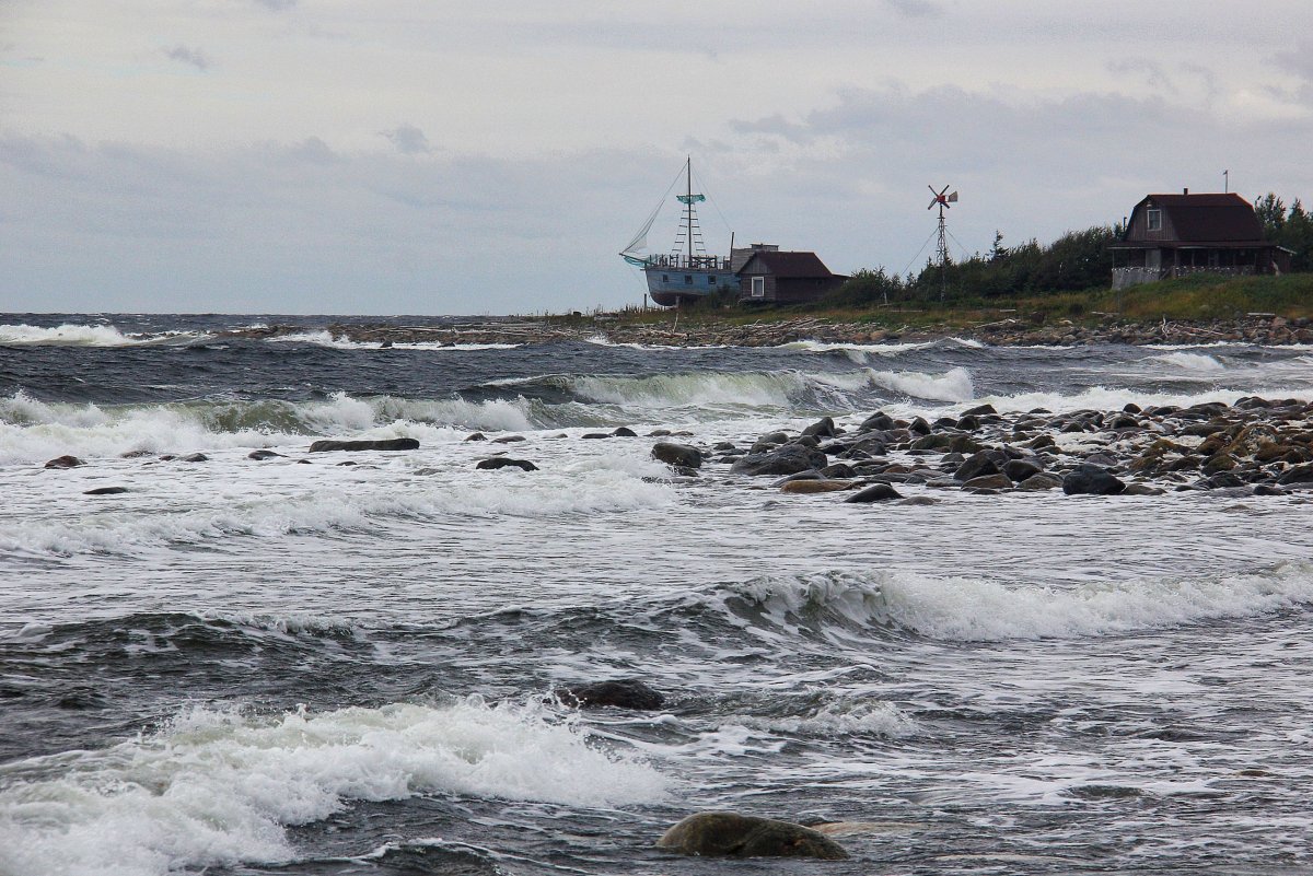 Выселок товы белое море