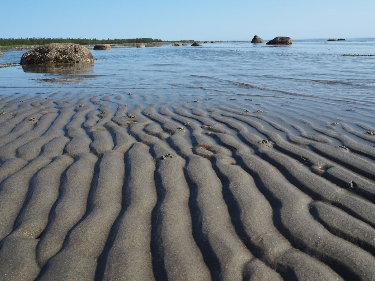 Дно белого моря фото
