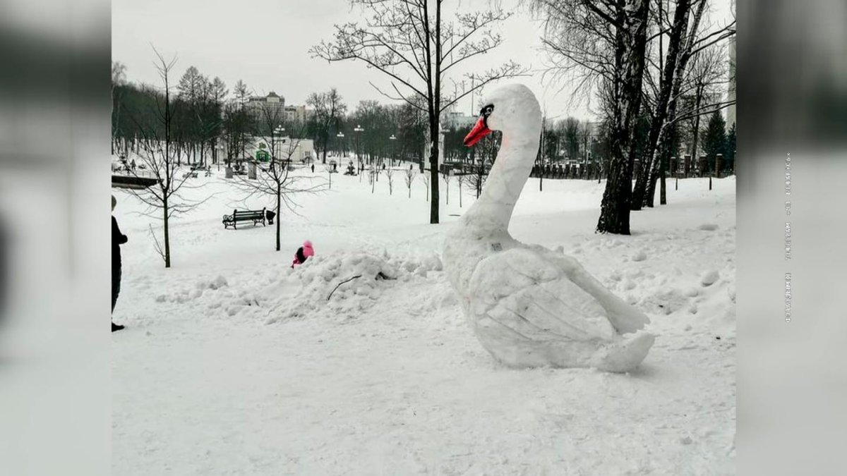 Лебедь из снега