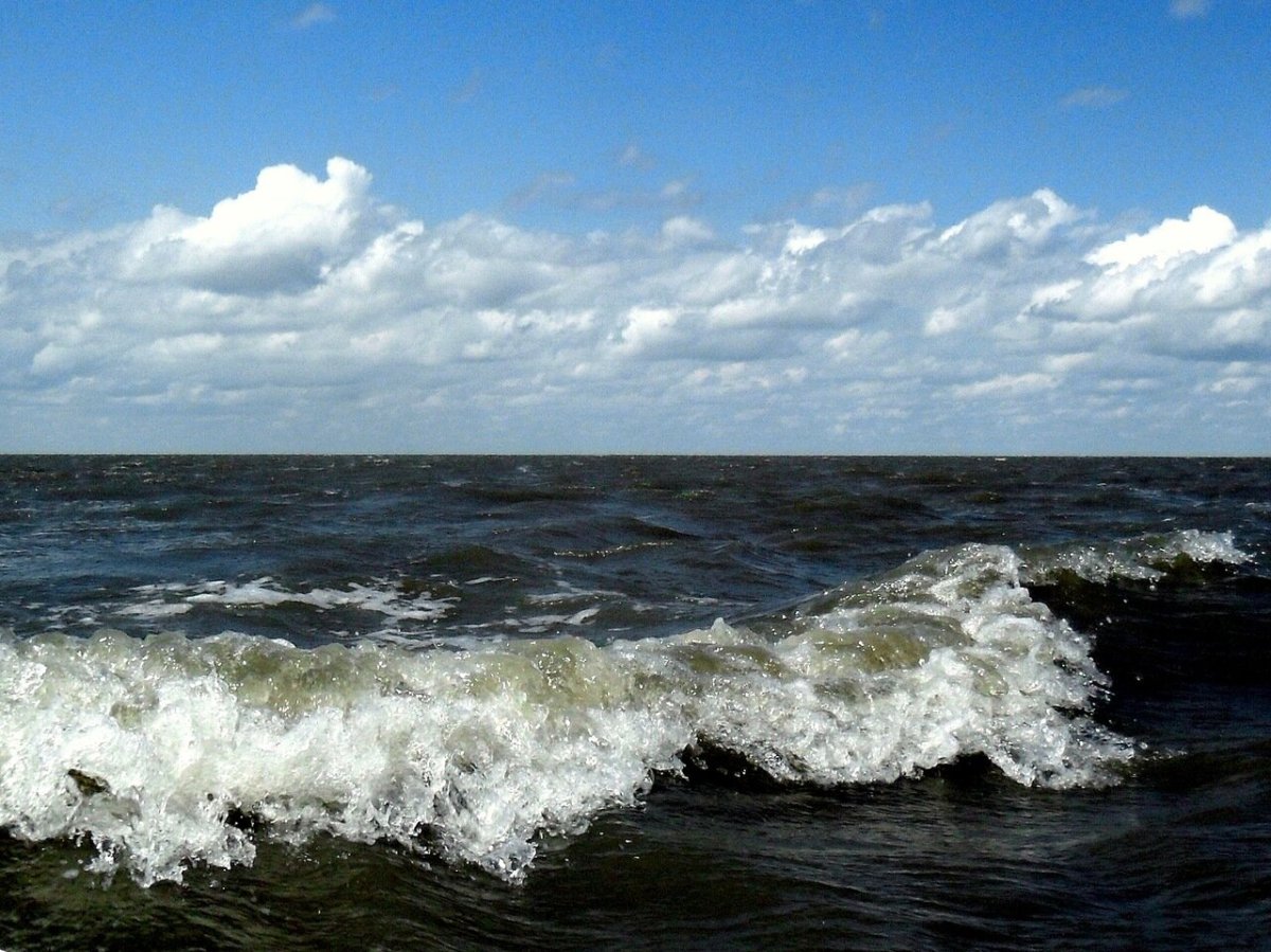 Кубань море