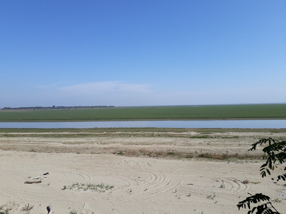 Краснодарское водохранилище пересохло 2020