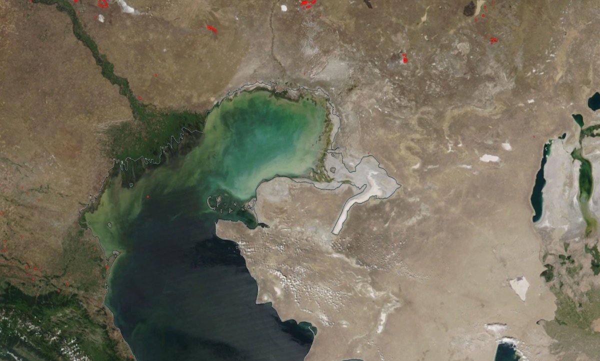 Спутниковые снимки Modis