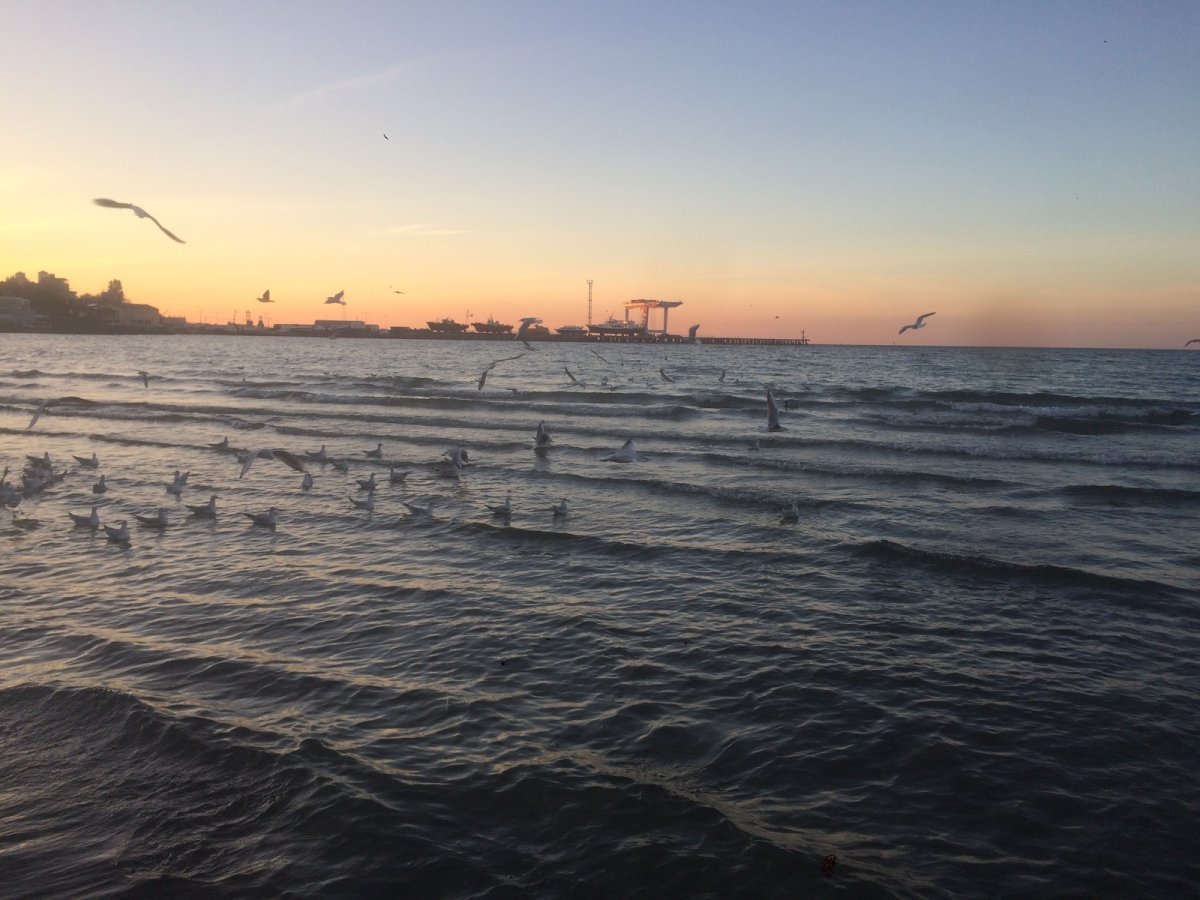 Море Курчатов красивое
