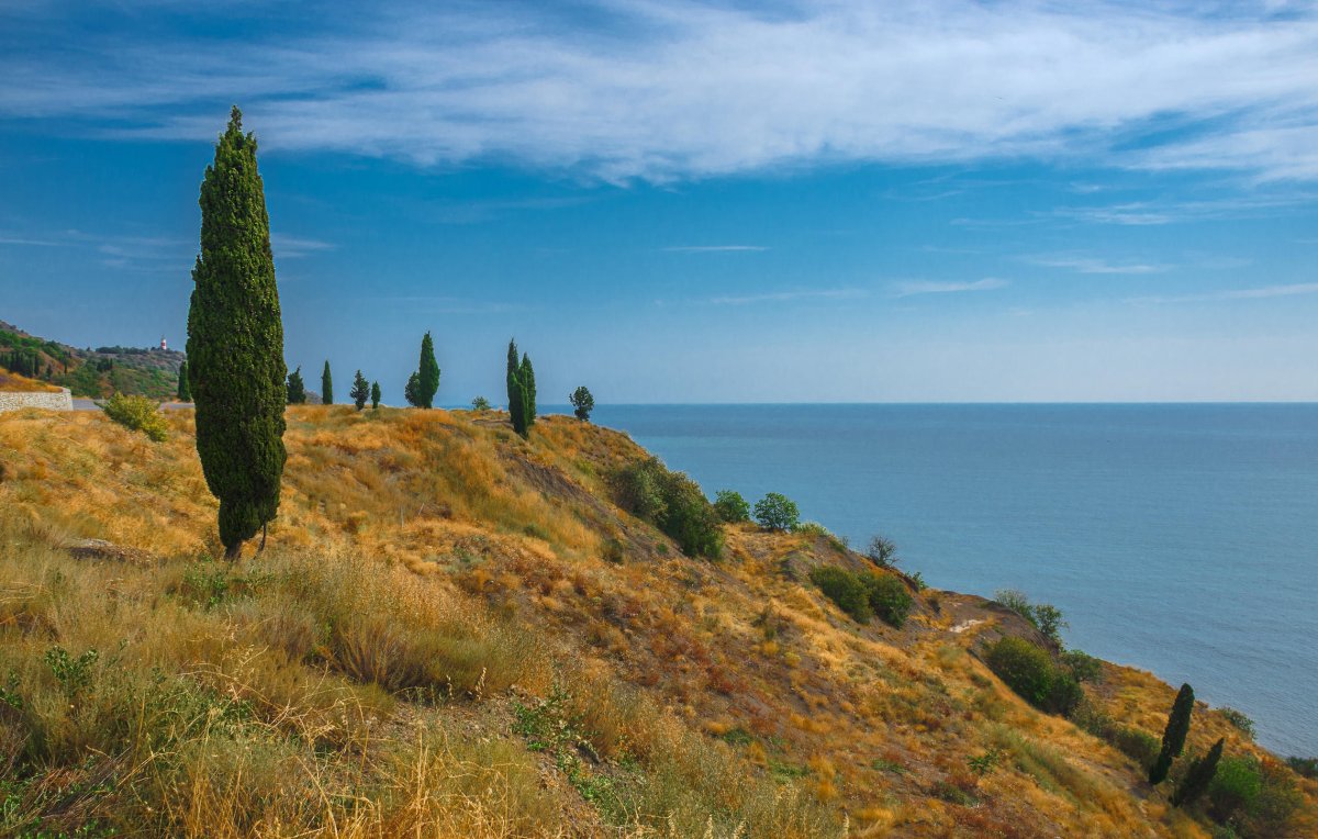 Крым море кипарисы