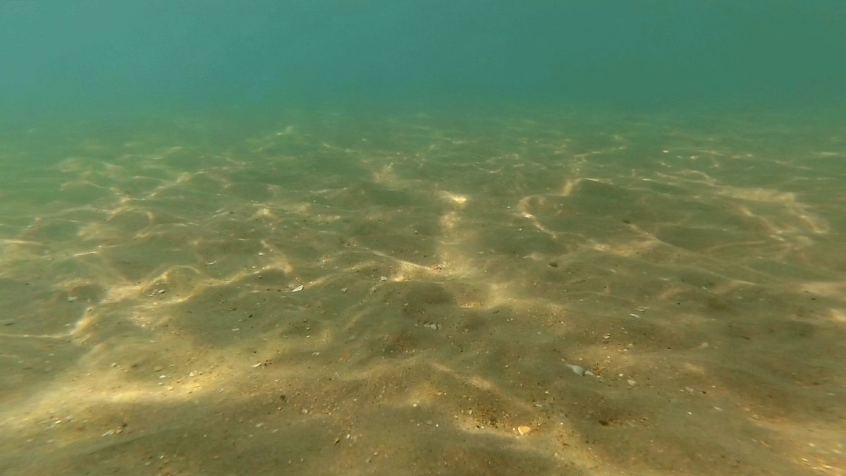 Черное море