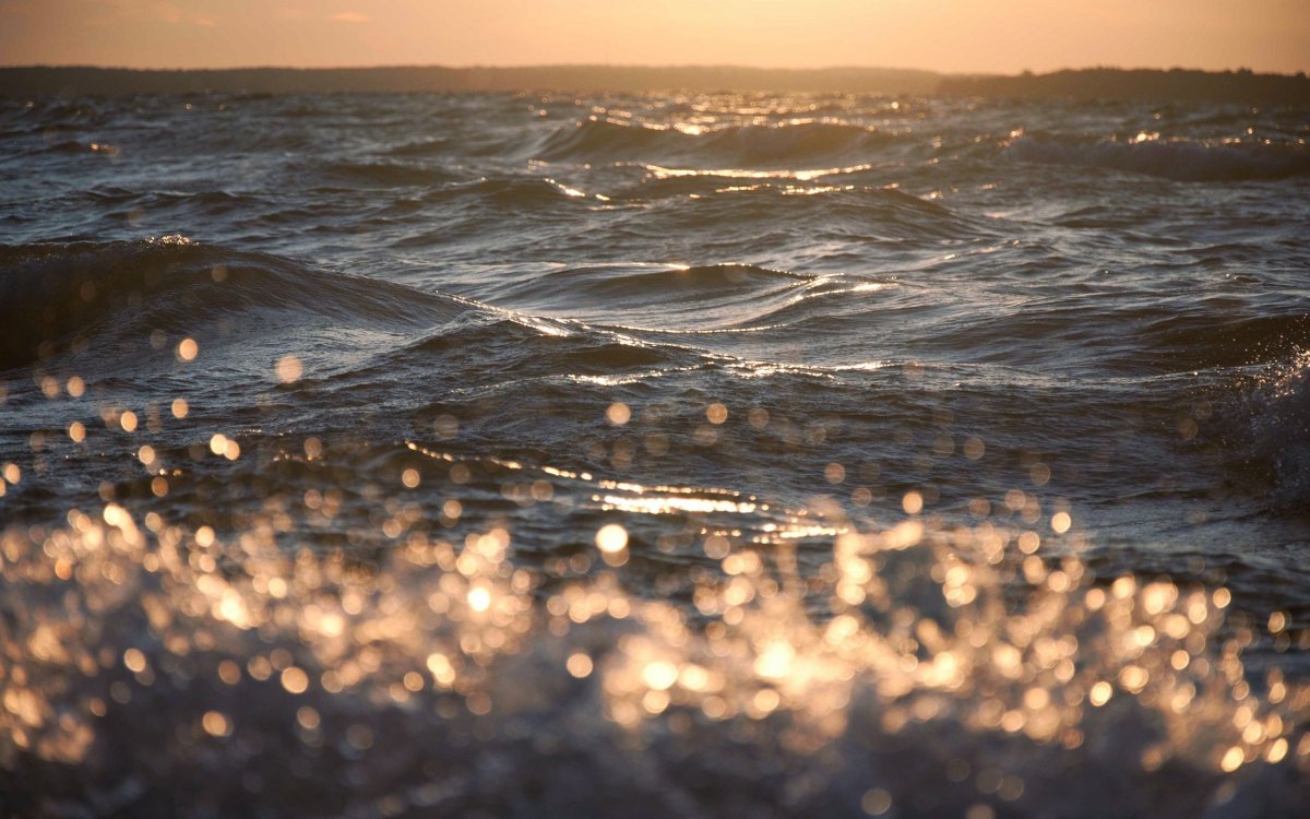 Солнечные блики на воде
