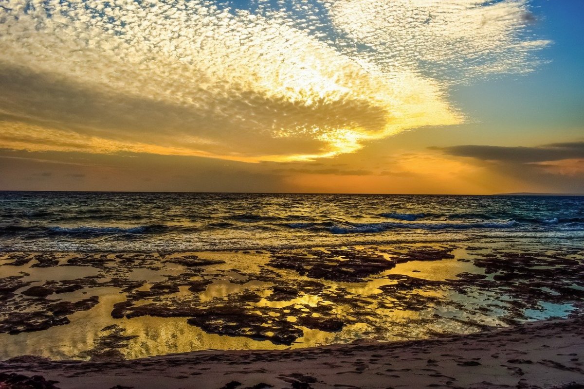 Желтое море Корея