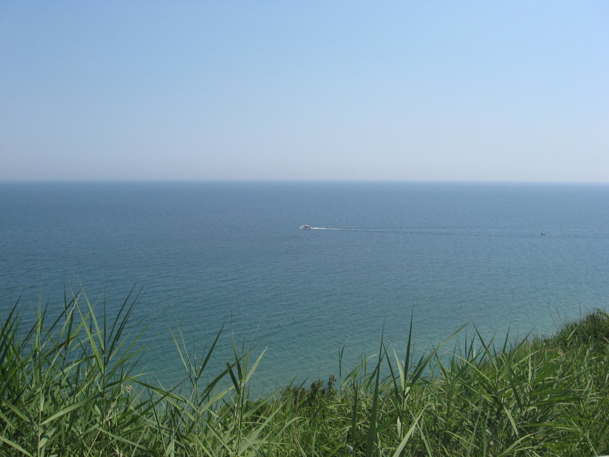 Море трава Горизонт