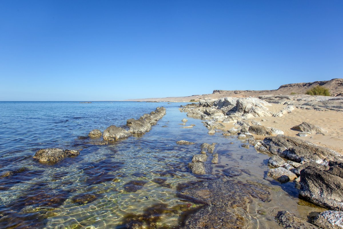 Каспий море Казахстан