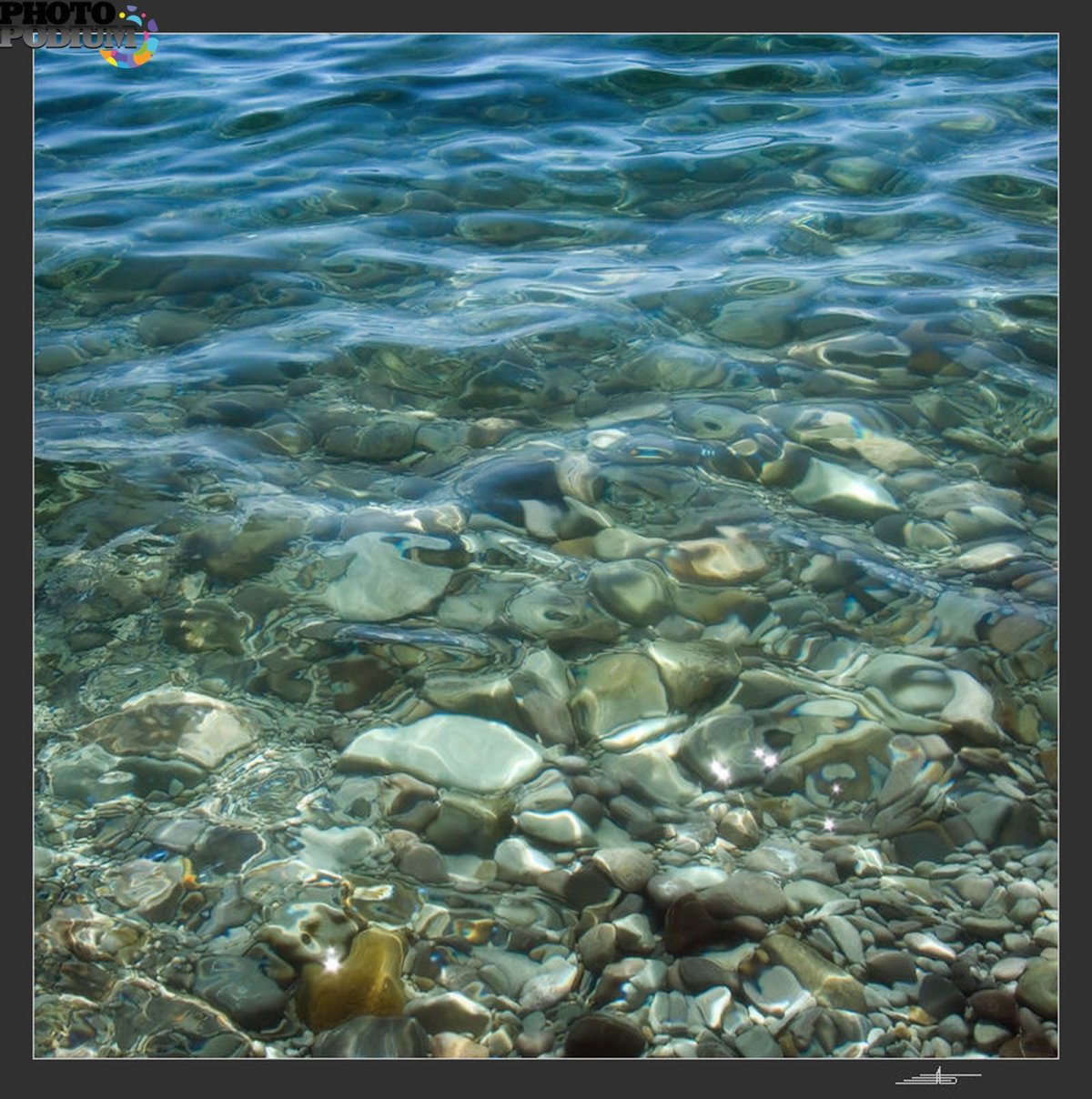 Водоем черного моря