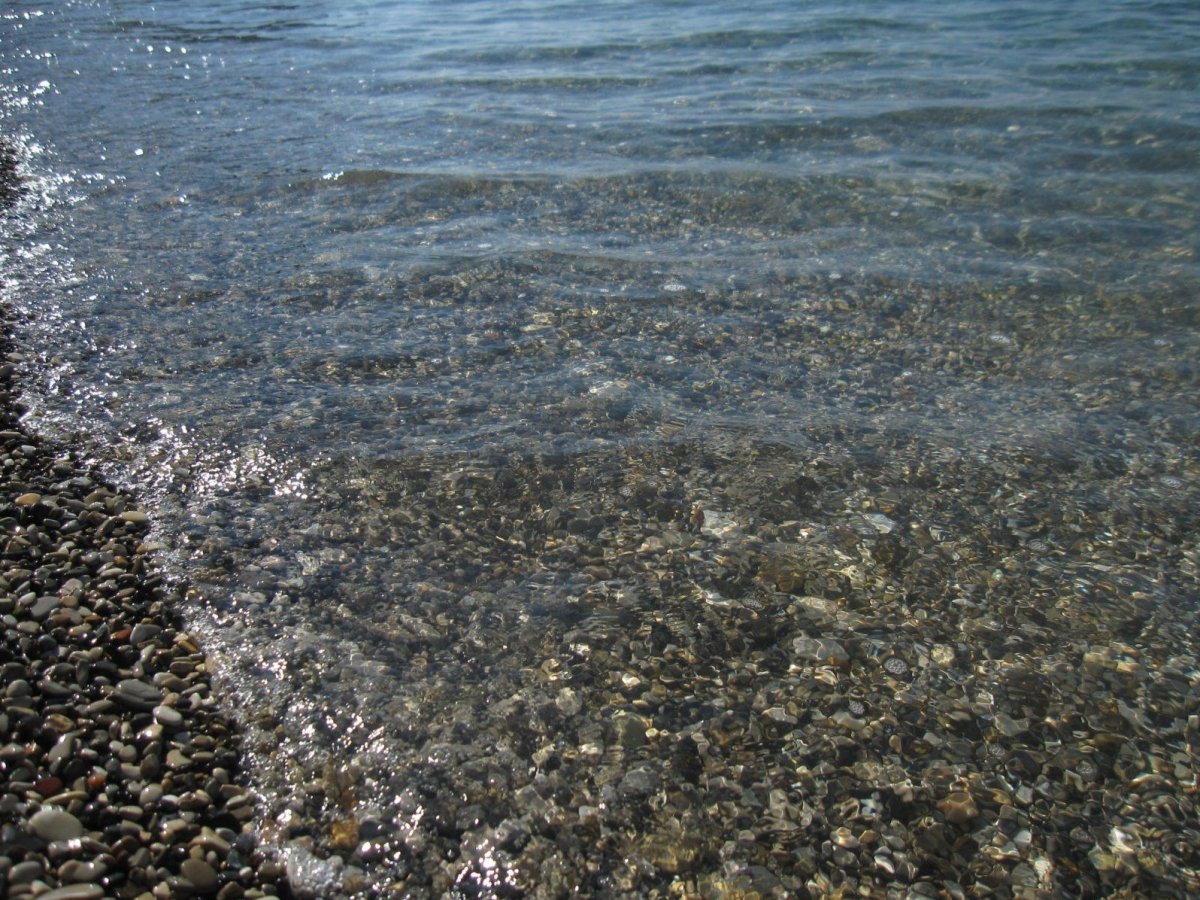 Море 2015