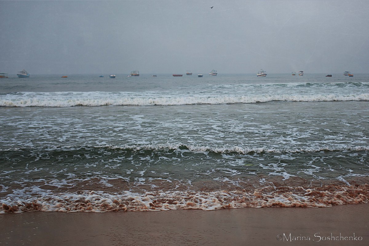 Аравийское море водоросли