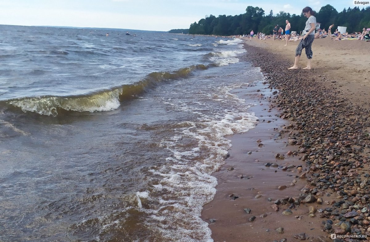 Зеленогорск Балтийское море