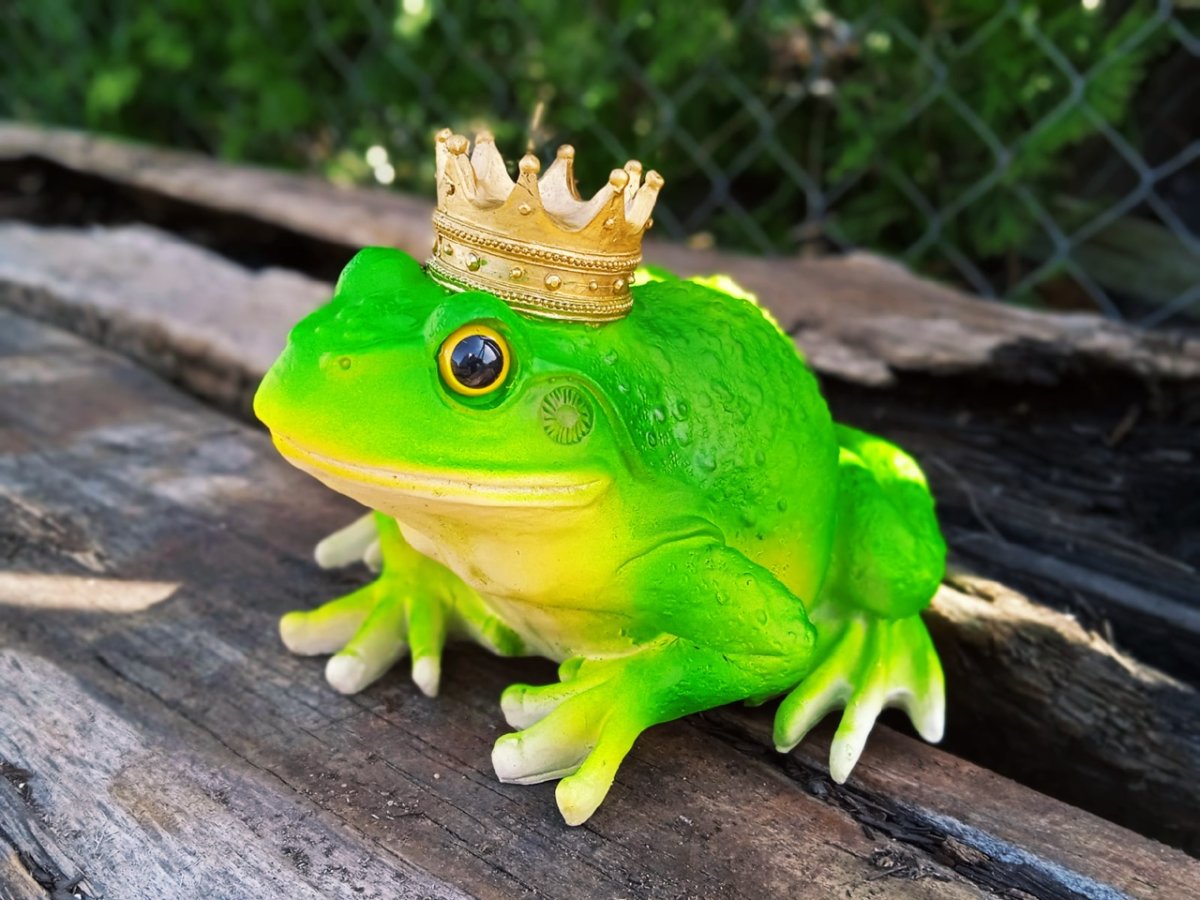 Лягушка с короной