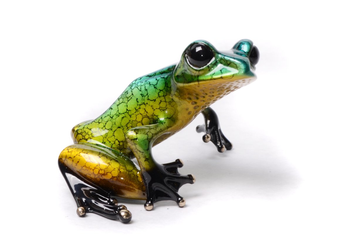 The Art of Frogman-tim Cotterill