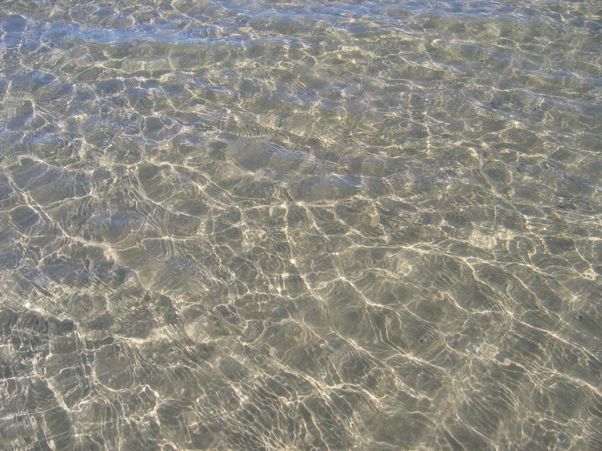 Азовское море прозрачн